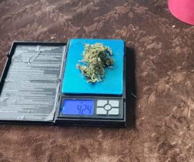 Արմավիրի ոստիկանները բացահայտել են կանեփ աճեցնելու և ապօրինի թմրանյութ պահելու դեպք Արմավիրի ոստիկանները բացահայտել են կանեփ աճեցնելու և ապօրինի թմրանյութ պահելու դեպք