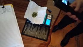 Տավուշի ոստիկանները բացահայտել են կանեփ աճեցնելու, ապօրինի թմրանյութ պահելու և իրացնելու դեպք Տավուշի ոստիկանները բացահայտել են կանեփ աճեցնելու, ապօրինի թմրանյութ պահելու և իրացնելու դեպք