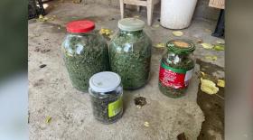 Արմավիրի ոստիկանները բացահայտել են ապօրինի թմրանյութ և զենք-զինամթերք պահելու դեպք Արմավիրի ոստիկանները բացահայտել են ապօրինի թմրանյութ և զենք-զինամթերք պահելու դեպք