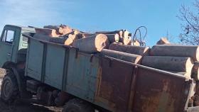 Ոստիկանության հետևողական պայքարն ապօրինի ծառահատումների դեմ  Ոստիկանության հետևողական պայքարն ապօրինի ծառահատումների դեմ