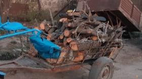 Ապօրինի ծառահատում «Հազարափրկիչ» կոչվող տարածքում Ապօրինի ծառահատում «Հազարափրկիչ» կոչվող տարածքում