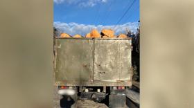 Տավուշի բաժնի ոստիկաններն ապօրինի ծառահատման դեպք են բացահայտել Տավուշի բաժնի ոստիկաններն ապօրինի ծառահատման դեպք են բացահայտել