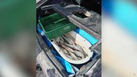 Ջրային պարեկները ապօրինի ձկնորսության դեպքեր են բացահայտել