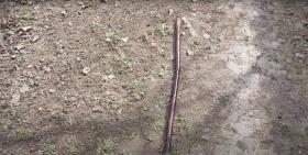 Ձեռնափայտով հարվածել էր 91-ամյա հորը, ապա գրպանից փող էր հափշտակել Ձեռնափայտով հարվածել էր 91-ամյա հորը, ապա գրպանից փող էր հափշտակել