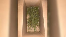 Աշտարակի բաժնի քրեական հետախույզները կոկաին և մարիխուանա են հայտնաբերել Աշտարակի բաժնի քրեական հետախույզները կոկաին և մարիխուանա են հայտնաբերել