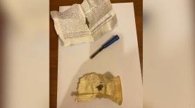 Հանրահավաքի մասնակցի մոտ թմրանյութ է հայտնաբերվել Հանրահավաքի մասնակցի մոտ թմրանյութ է հայտնաբերվել