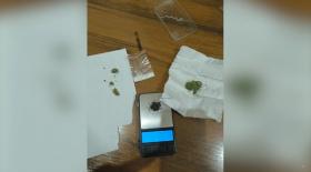 Արմավիրի մարզի պարեկները հայտնաբերել են թմրանյութ Արմավիրի մարզի պարեկները հայտնաբերել են թմրանյութ