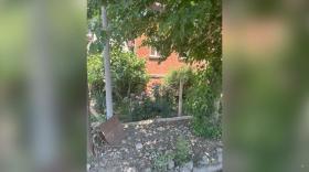 Վաղարշապատի ոստիկանները բացահայտեցին գողության փորձը Վաղարշապատի ոստիկանները բացահայտեցին գողության փորձը