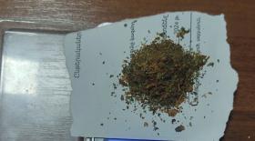 36-ամյա տղամարդու մոտ մարիխուանա է հայտնաբերվել 36-ամյա տղամարդու մոտ մարիխուանա է հայտնաբերվել