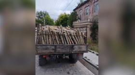 Տավուշի բաժնի ոստիկանները ապօրինի ծառահատման դեպք են բացահայտել Տավուշի բաժնի ոստիկանները ապօրինի ծառահատման դեպք են բացահայտել