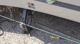 Կոտայքի պարեկները կանխել են մեքենայից գողություն Կոտայքի պարեկները կանխել են մեքենայից գողություն