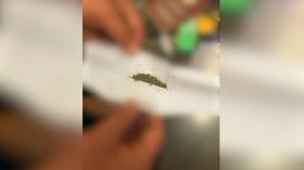 «Զվարթնոցի» ոստիկանները երիտասարդի մոտ հայտնաբերել են կոկաին և մարիխուանա «Զվարթնոցի» ոստիկանները երիտասարդի մոտ հայտնաբերել են կոկաին և մարիխուանա