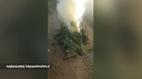 Ամփոփվեցին «Կանեփ-կակաչ-2024» համալիր օպերատիվ-կանխարգելիչ միջոցառման արդյունքները Ամփոփվեցին «Կանեփ-կակաչ-2024» համալիր օպերատիվ-կանխարգելիչ միջոցառման արդյունքները