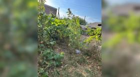 Եղեգնաձորի ոստիկանների պայքարը թմրամոլության դեմ  Եղեգնաձորի ոստիկանների պայքարը թմրամոլության դեմ