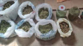 Վաղարշապատի ոստիկանների տեղեկությունը հավաստի էր․ Մրգաստանում հայտնաբերվեց մեծ քանակի թմրանյութ Վաղարշապատի ոստիկանների տեղեկությունը հավաստի էր․ Մրգաստանում հայտնաբերվեց մեծ քանակի թմրանյութ