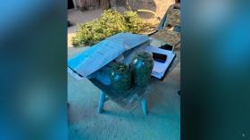 Արմավիրի մարզի Մրգաշատ գյուղում հայտնաբերվել են կանեփի բույսեր ու մարիխուանա Արմավիրի մարզի Մրգաշատ գյուղում հայտնաբերվել են կանեփի բույսեր ու մարիխուանա