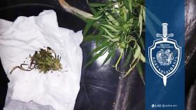 Թմրամիջոցների ապօրինի շրջանառության դեպք, որ բացահայտել են Աշտարակի ոստիկանները Թմրամիջոցների ապօրինի շրջանառության դեպք, որ բացահայտել են Աշտարակի ոստիկանները