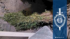 27-ամյա երիտասարդը ոստիկաններին է ներկայացրել թմրանյութ և կանեփի չորացրած զանգված 27-ամյա երիտասարդը ոստիկաններին է ներկայացրել թմրանյութ և կանեփի չորացրած զանգված