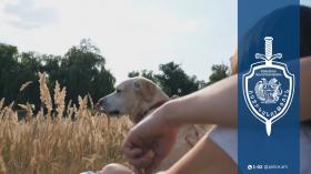 Կենդանիների նկատմամբ դաժան վերաբերմունքը քրեորեն պատժելի է. հանցատեսակը՝ ոստիկանության ուշադրության կենտրոնում Կենդանիների նկատմամբ դաժան վերաբերմունքը քրեորեն պատժելի է. հանցատեսակը՝ ոստիկանության ուշադրության կենտրոնում