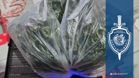 Թմրանյութը պահել էին ուրիշի տանը. Արտաշատի համայնքային ոստիկանների երկու բացահայտում Թմրանյութը պահել էին ուրիշի տանը. Արտաշատի համայնքային ոստիկանների երկու բացահայտում