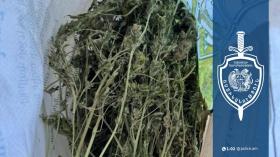 Արմավիրում ձերբակալվել են ապօրինի թմրանյութ պահող տղամարդիկ․ քրեական ոստիկանների հերթական բացահայտումները Արմավիրում ձերբակալվել են ապօրինի թմրանյութ պահող տղամարդիկ․ քրեական ոստիկանների հերթական բացահայտումները