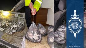 Երկու դեպքով հայտնաբերվել է 92 կգ սիգ․ ապօրինի ձկնորսության դեմ միջոցառումները շարունակվում են Երկու դեպքով հայտնաբերվել է 92 կգ սիգ․ ապօրինի ձկնորսության դեմ միջոցառումները շարունակվում են