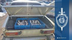 Գեղարքունիքի պարեկները ձկնագողության դեպքեր են հայտնաբերել Գեղարքունիքի պարեկները ձկնագողության դեպքեր են հայտնաբերել