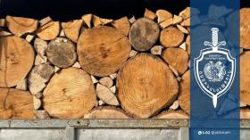 Առկա փայտանյութի և փաստաթղթի տվյալի անհամապատասխանություն կար. Արմավիրի համայնքային ոստիկանների բացահայտումը Առկա փայտանյութի և փաստաթղթի տվյալի անհամապատասխանություն կար. Արմավիրի համայնքային ոստիկանների բացահայտումը