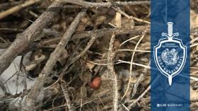 Թմրամոլության դեմ Մարտունու բաժնի համայնքային ոստիկանների պայքարի երկու դրվագ Թմրամոլության դեմ Մարտունու բաժնի համայնքային ոստիկանների պայքարի երկու դրվագ