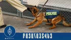 Կենդանիների նկատմամբ դաժան վերաբերմունք դրսևորած տղամարդիկ ներկայացվել են նախաքննական մարմին Կենդանիների նկատմամբ դաժան վերաբերմունք դրսևորած տղամարդիկ ներկայացվել են նախաքննական մարմին