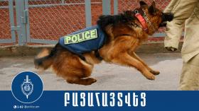 Շնակռիվ կազմակերպած տղամարդիկ ներկայացվել են նախաքննական մարմին Շնակռիվ կազմակերպած տղամարդիկ ներկայացվել են նախաքննական մարմին