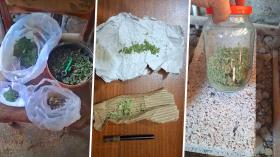 Արմավիրի քրեական ոստիկանների հերթական բացահայտումները Արմավիրի քրեական ոստիկանների հերթական բացահայտումները