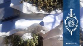 Աշտարակի համայնքային ոստիկանները թմրանյութ են հայտնաբերել Մուղնիում և Ուշիում Աշտարակի համայնքային ոստիկանները թմրանյութ են հայտնաբերել Մուղնիում և Ուշիում