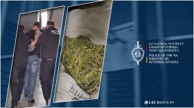 Հայտնաբերվել է 190 գրամից ավելի մարիխուանա․ Աշտարակի համայնքային ոստիկանների բացահայտումը Հայտնաբերվել է 190 գրամից ավելի մարիխուանա․ Աշտարակի համայնքային ոստիկանների բացահայտումը