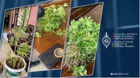 Անձի հետախուզման բաժնի ծառայողներն ապօրինի թմրաշրջանառության դեպք են բացահայտել Անձի հետախուզման բաժնի ծառայողներն ապօրինի թմրաշրջանառության դեպք են բացահայտել