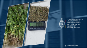 Աշտարակցի տղամարդու տան խուզարկությամբ 34 գրամից ավելի մարիխուանա և կանեփի 197 բույս է հայտնաբերվել Աշտարակցի տղամարդու տան խուզարկությամբ 34 գրամից ավելի մարիխուանա և կանեփի 197 բույս է հայտնաբերվել