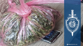 Արարատի ոստիկանները Ավշար գյուղում հայտնաբերել են կանեփի բույսեր և 310 գրամից ավելի մարիխուանա Արարատի ոստիկանները Ավշար գյուղում հայտնաբերել են կանեփի բույսեր և 310 գրամից ավելի մարիխուանա