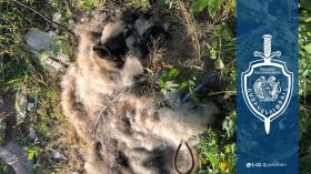 Արտաշատի ոստիկանների բացահայտումը Արտաշատի ոստիկանների բացահայտումը