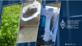 Վանաձորցի 46-ամյա տղամարդը հողամասում կանեփ էր աճեցնում և պատրաստում թմրանյութ Վանաձորցի 46-ամյա տղամարդը հողամասում կանեփ էր աճեցնում և պատրաստում թմրանյութ