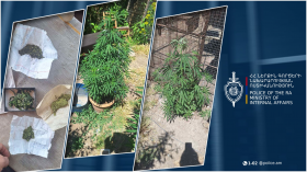 Այգեշատի բնակիչը հողամասում կանեփ էր աճեցնում, իսկ տանը՝ թմրանյութ պահում․ նախաձեռնվել է քրեական վարույթ Այգեշատի բնակիչը հողամասում կանեփ էր աճեցնում, իսկ տանը՝ թմրանյութ պահում․ նախաձեռնվել է քրեական վարույթ