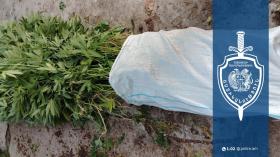 Թալինի համայնքային ոստիկանները կանեփ աճեցնելու և թմրամիջոց պահելու դեպք են բացահայտել Թալինի համայնքային ոստիկանները կանեփ աճեցնելու և թմրամիջոց պահելու դեպք են բացահայտել