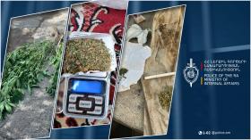 62-ամյա տղամարդը կանեփ էր աճեցնում և թմրամիջոց օգտագործում 62-ամյա տղամարդը կանեփ էր աճեցնում և թմրամիջոց օգտագործում