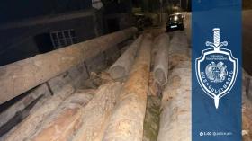 Բեռնատարը բարձված էր հաճարենու և թխկենու փայտանյութով․ Տավուշի համայնքային ոստիկանների բացահայտումը Բեռնատարը բարձված էր հաճարենու և թխկենու փայտանյութով․ Տավուշի համայնքային ոստիկանների բացահայտումը